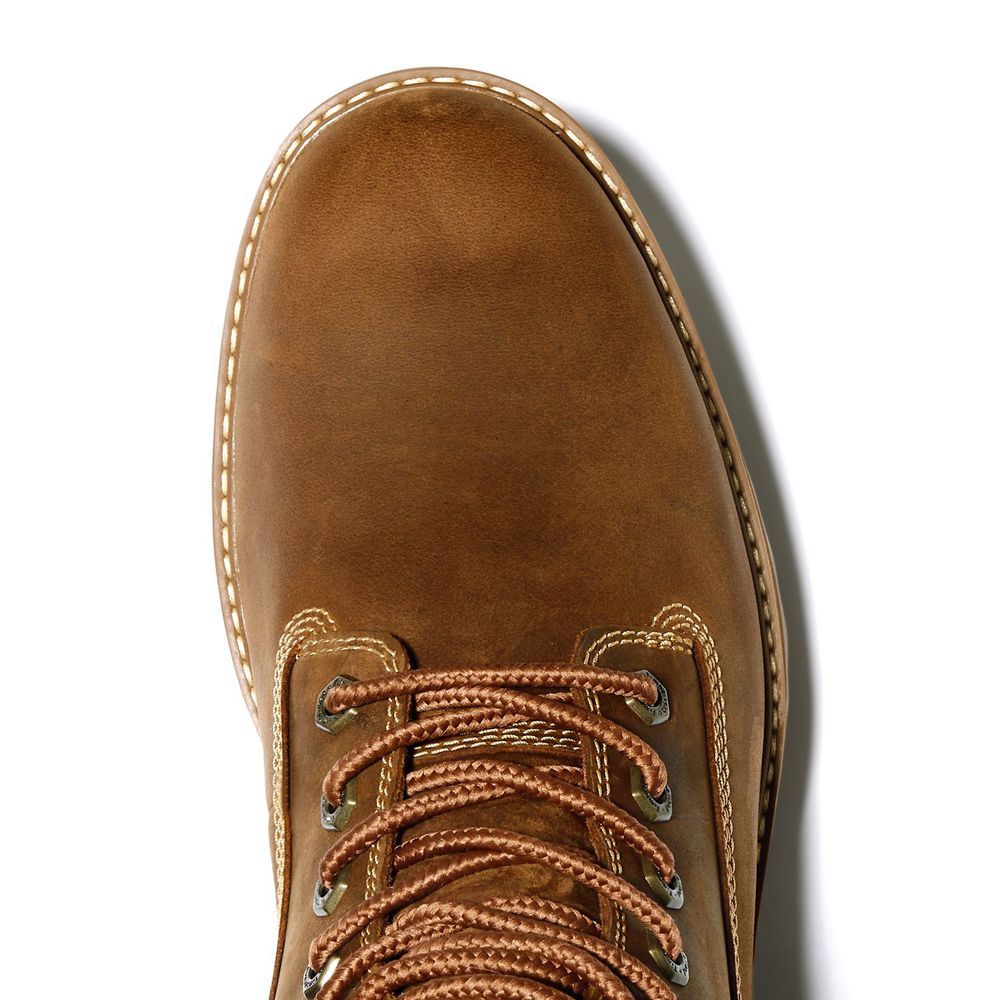 Bocanci De Zapada Timberland Barbati Maro - Courma Guy Ek+ Waterproof - Romania - ZQLEUR971